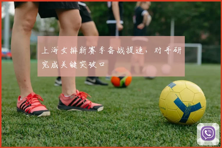 上海女排新赛季备战提速，对手研究成关键突破口