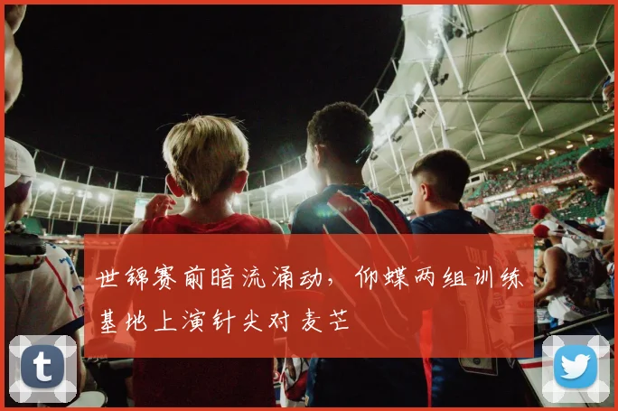 世锦赛前暗流涌动,仰蝶两组训练基地上演针尖对麦芒